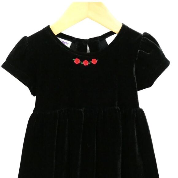 Blueberry boulevard Short Sleeve Black Velour Embroidered Dress Size 2T - Picture 4 of 7